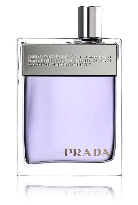 prada amber pour homme notes|prada amber pour homme.